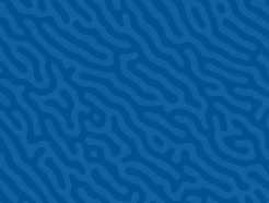 Community Partnerships - United Way of San Antonio and Bexar County