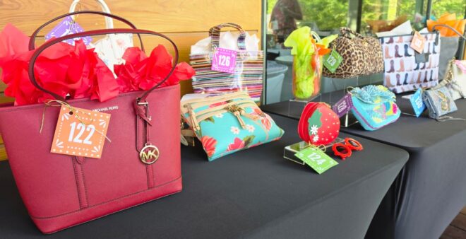 United Way Raises Record-Breaking $385k at Power of the Purse - United Way of San Antonio and Bexar County